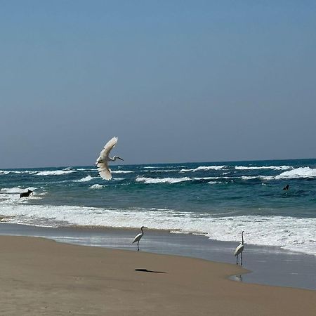 Go To Apartments In Leonardo Bat Yam Extérieur photo